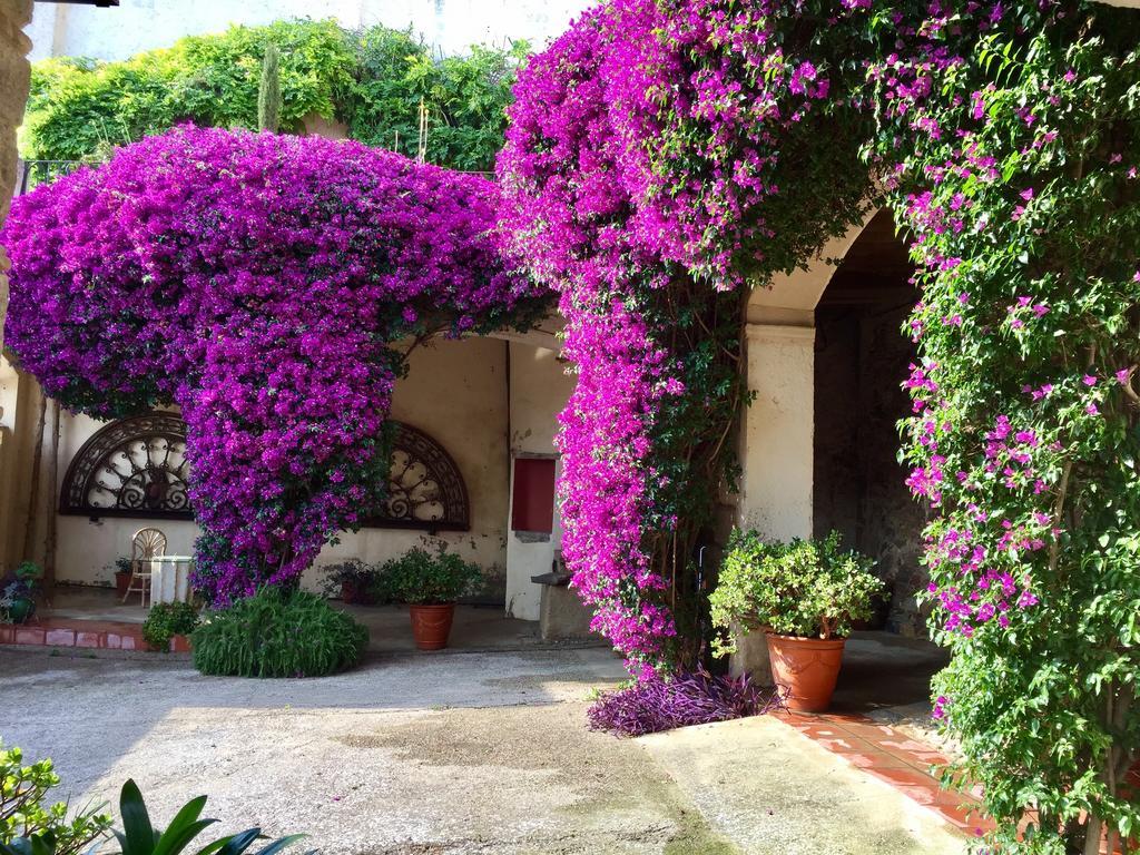 Apartaments Can Gibert Castello  D'Empuries Extérieur photo